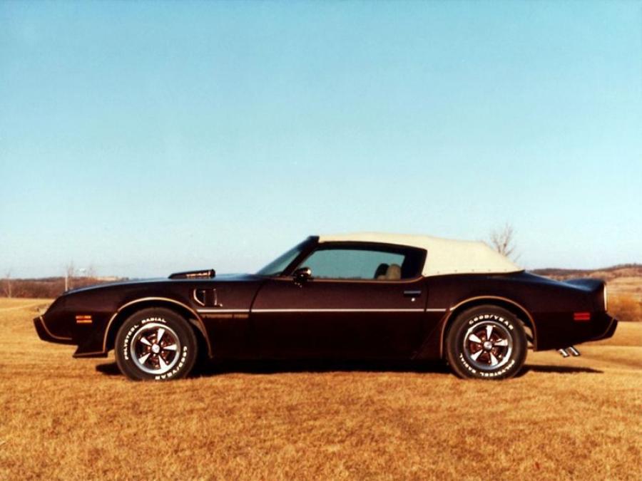  Pontiac Firebird Trans Am Convertible by Contec 1981 года  (фото 2 из 2)
